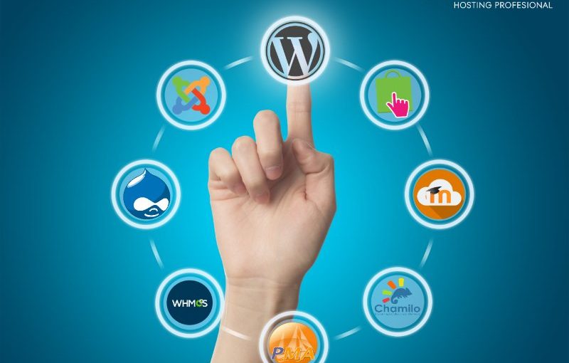 Descubra los increíbles planes que SeredHosting tiene para ofrecerte